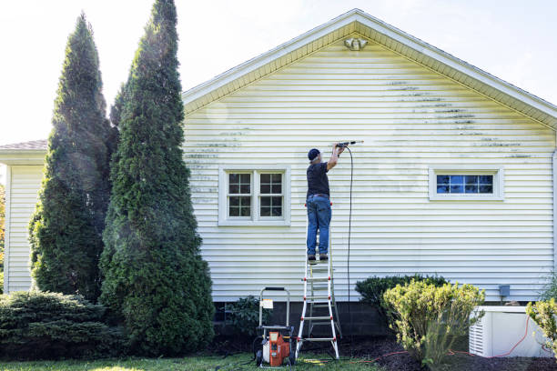 Best Gutter Cleaning  in Blue Grass, IA