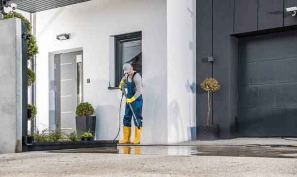 Best Fleet Vehicle Washing  in Blue Grass, IA